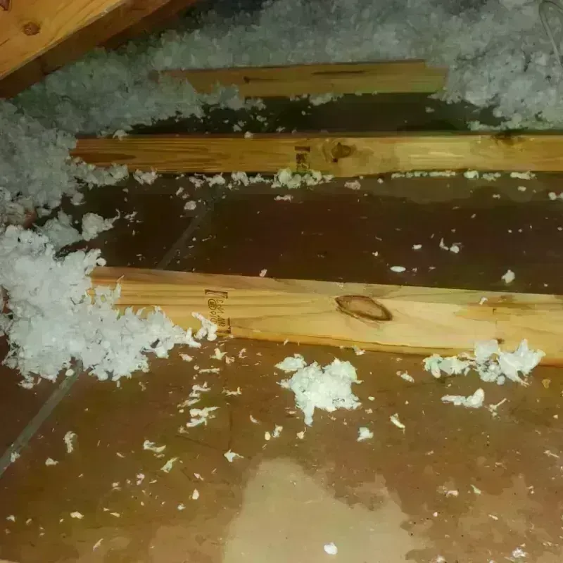 Attic Water Damage in Bishop, TX