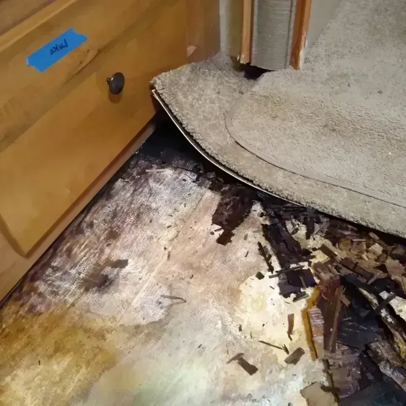 Wood Floor Water Damage in Bishop, TX